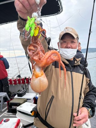 タコ