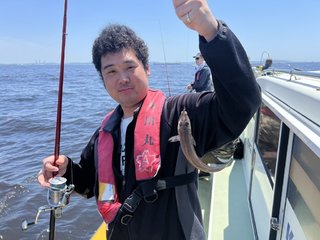 シロギス