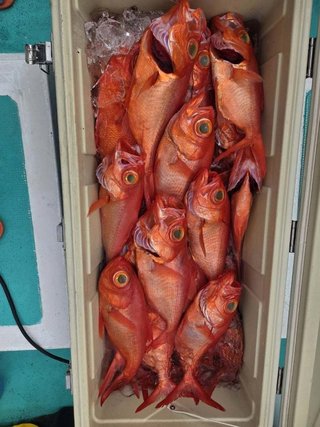 キンメ