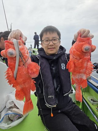 アコウダイ