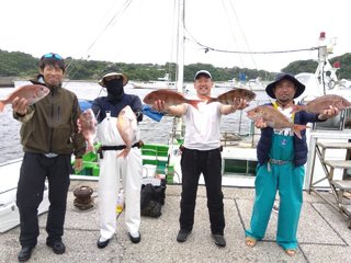 マダイ