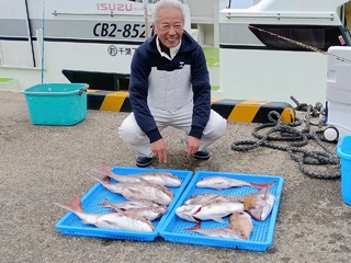 マダイ