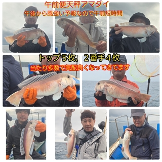 シロアマダイ