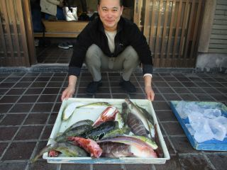 イトヨリ