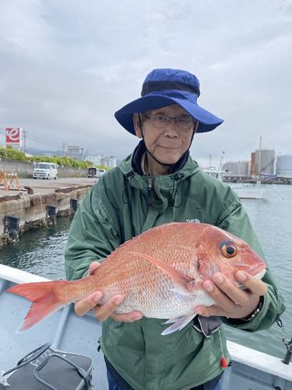 マダイ