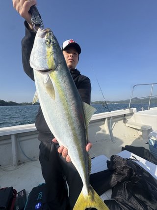 ブリ