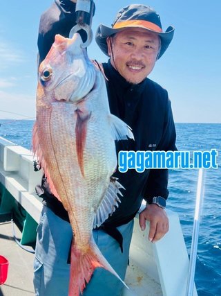 マダイ