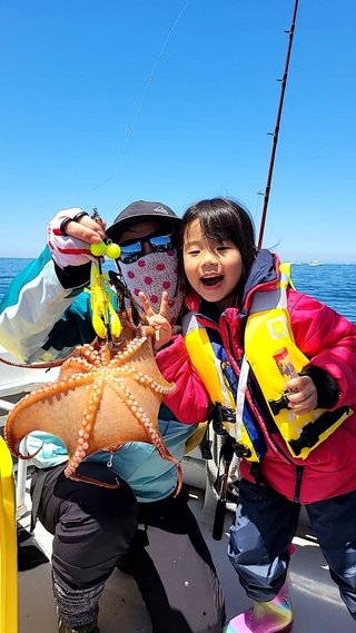 タコ