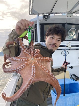 タコ