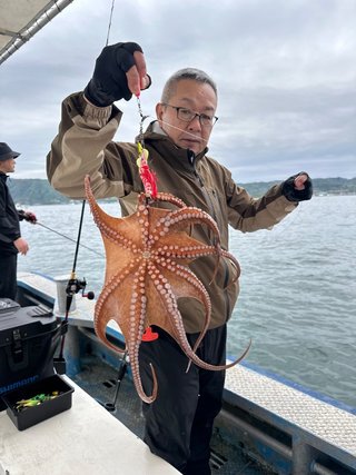 タコ