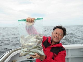 シロギス