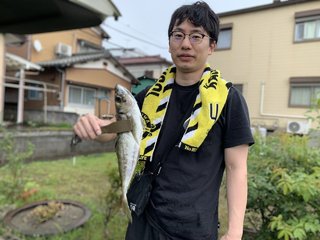 アジ