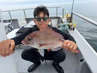 マダイ
