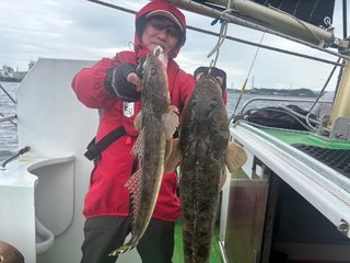 マゴチ