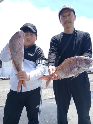 マダイ