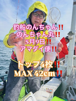 シロアマダイ