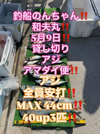 アジ