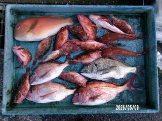タイ