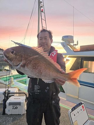 マダイ