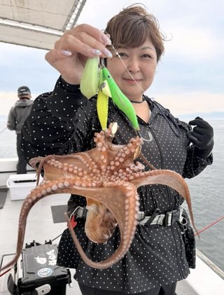 タコ