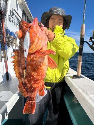 カサゴ
