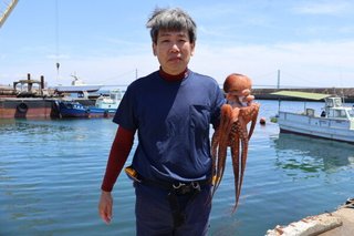タコ