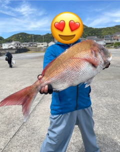マダイ