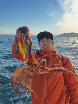タコ