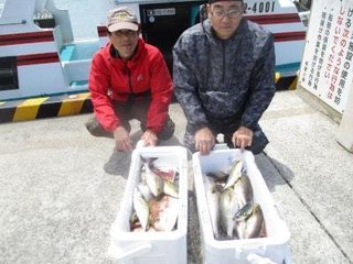 イサギ