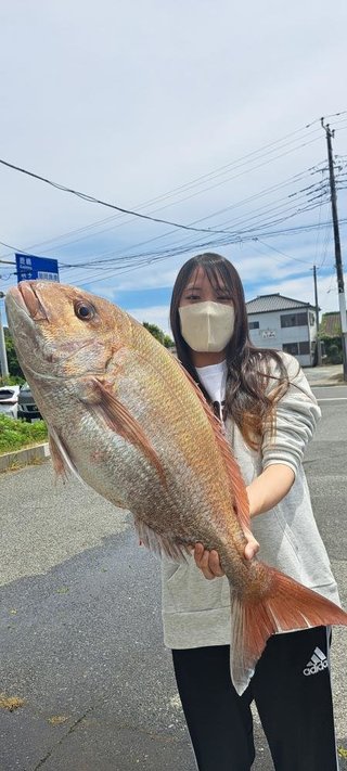 マダイ