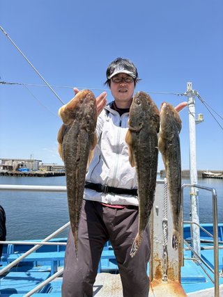 マゴチ