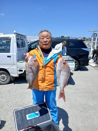 マダイ