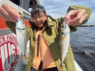 マアジ