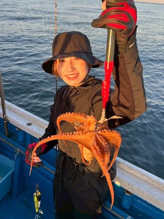 タコ