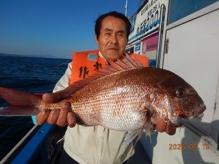 マダイ