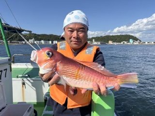 アマダイ