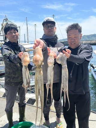 マダコ
