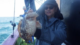 ウッカリカサゴ