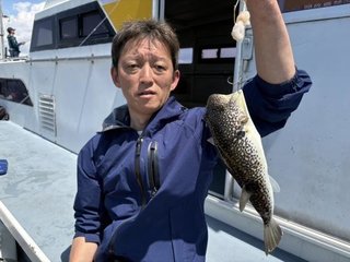 ショウサイフグ