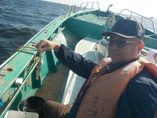 シロギス