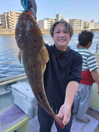 マゴチ
