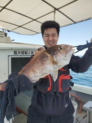 マダイ