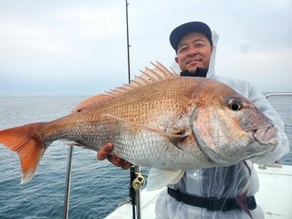 マダイ