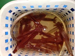 マイカ