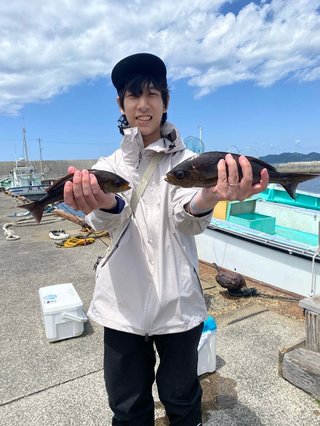 シマアジ