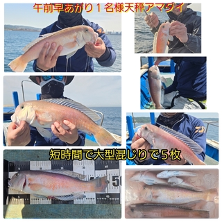 シロアマダイ