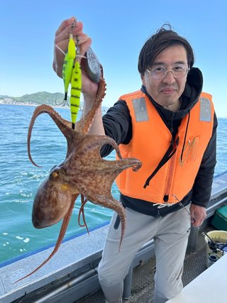 タコ