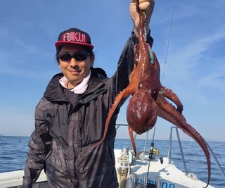 マダコ