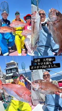 マダイ