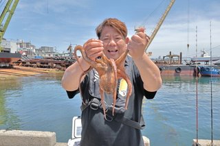 タコ